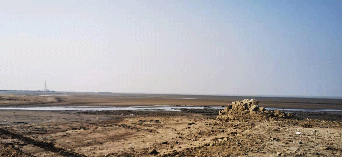 我司领导赴孟加拉考察海工市场