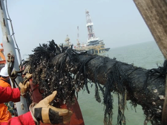 美国洛克石油赵东油田海缆修复项目（2012年）