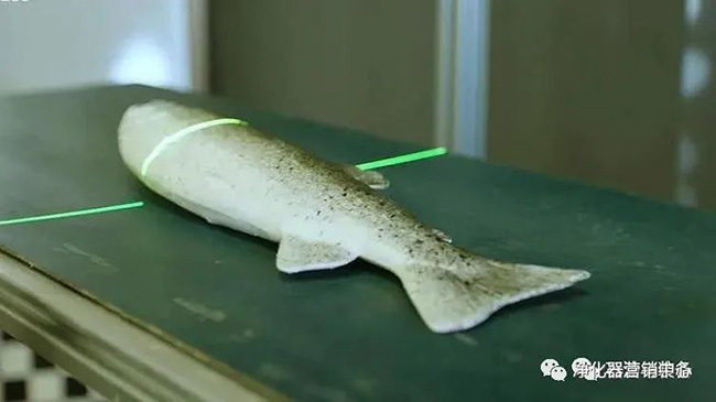 前沿技术 | “蛇形机器人”修复海底管道