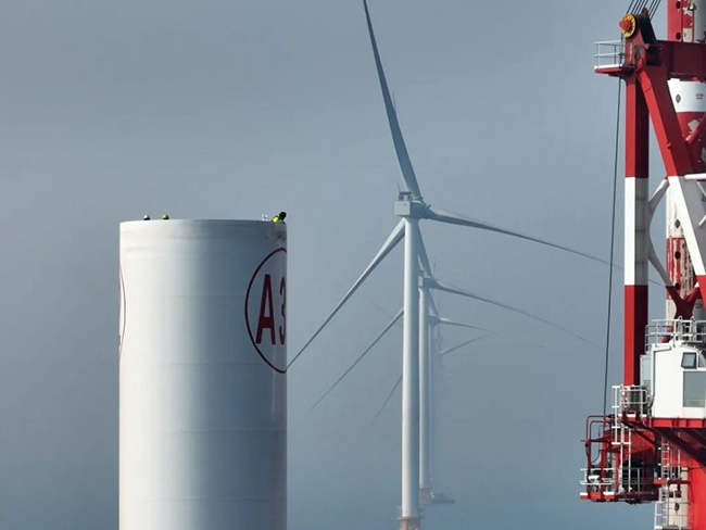 全国首个海上风电与海洋牧场融合发展研究试验项目首批机组并网发电