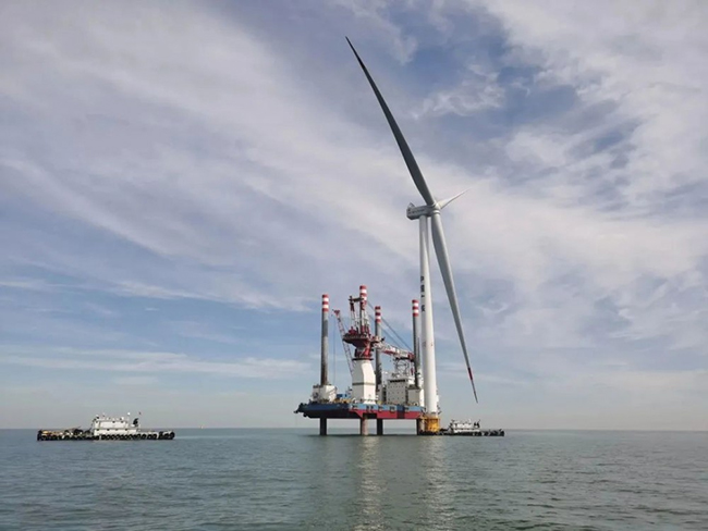 全国首个海上风电与海洋牧场融合发展研究试验项目首批机组并网发电