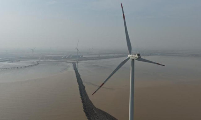 从滩涂到深蓝——探访三峡集团海上风电起步的地方