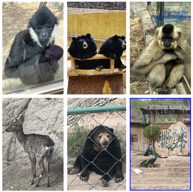 心之所向，行之所往——赴一场春天的约会